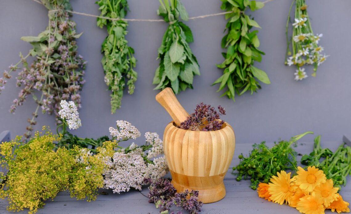 Zero waste w zielarstwie
